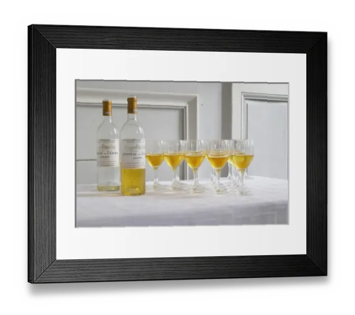 Framed Print : Europe, France