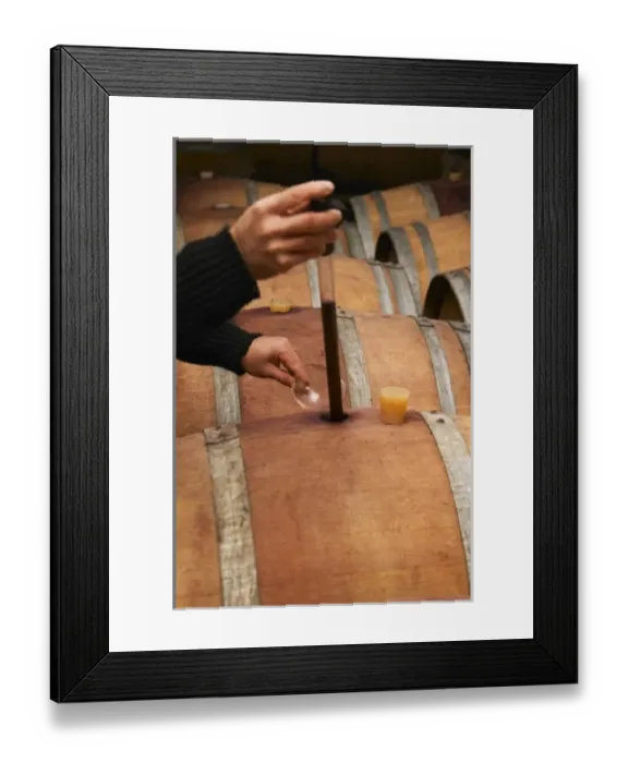 Framed Print : Philippe Viret taking a barrel sample of aging red wine. Domaine Viret, Saint Maurice sur Eygues Framed Print : Philippe Viret taking a barrel sample of aging red wine. Domaine Viret, Saint Maurice sur Eygues
