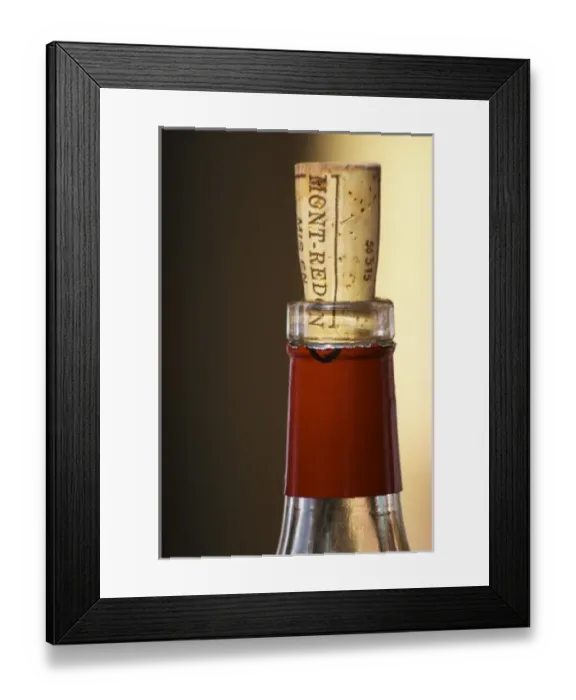 Framed Print : Europe, France