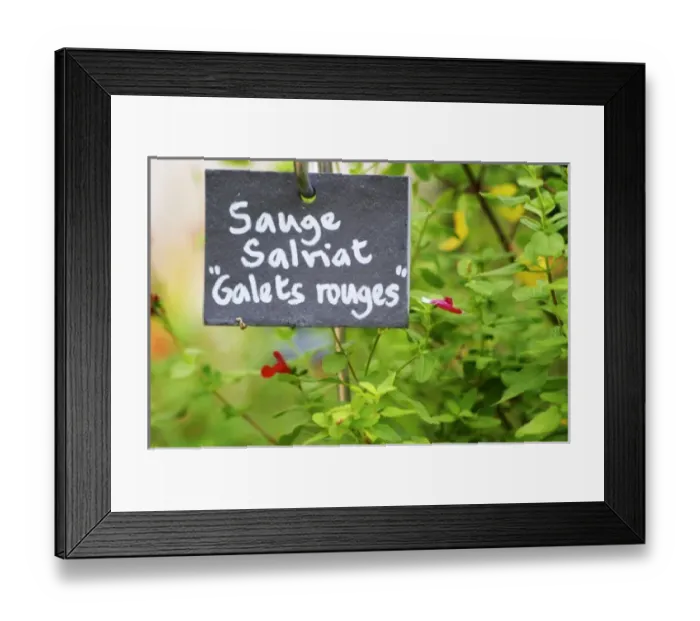 Framed Print : Europe, France