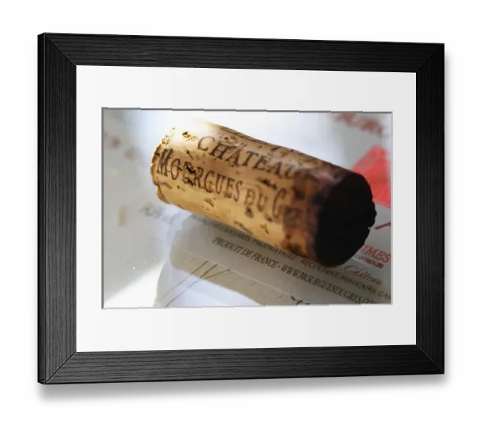 Framed Print : Europe, France