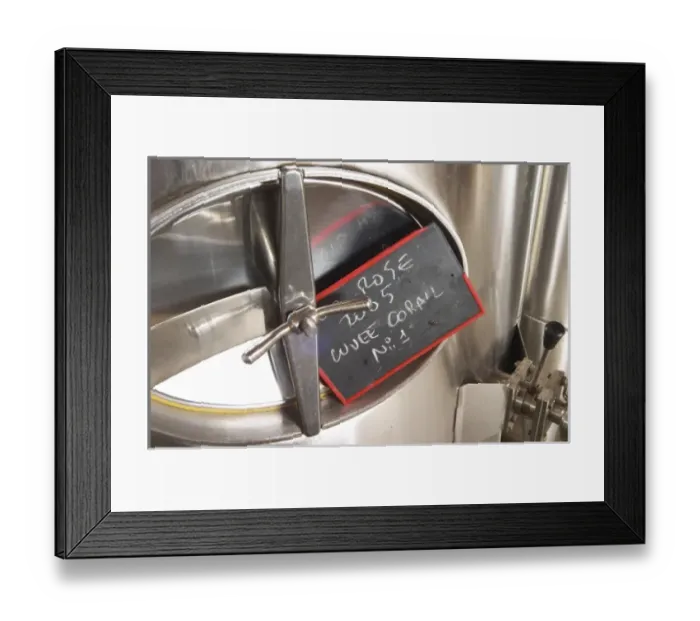 Framed Print : Europe, France