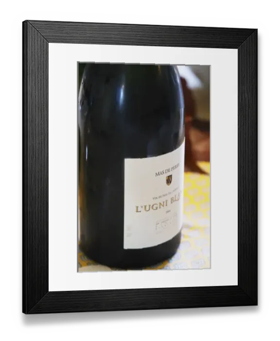 Framed Print : L Ugni Blanc. Mas de Perry, Mas Nicot. Terrasses de Larzac. Languedoc. France Framed Print : L Ugni Blanc. Mas de Perry, Mas Nicot. Terrasses de Larzac. Languedoc. France