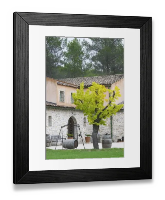 Framed Print : Europe, France
