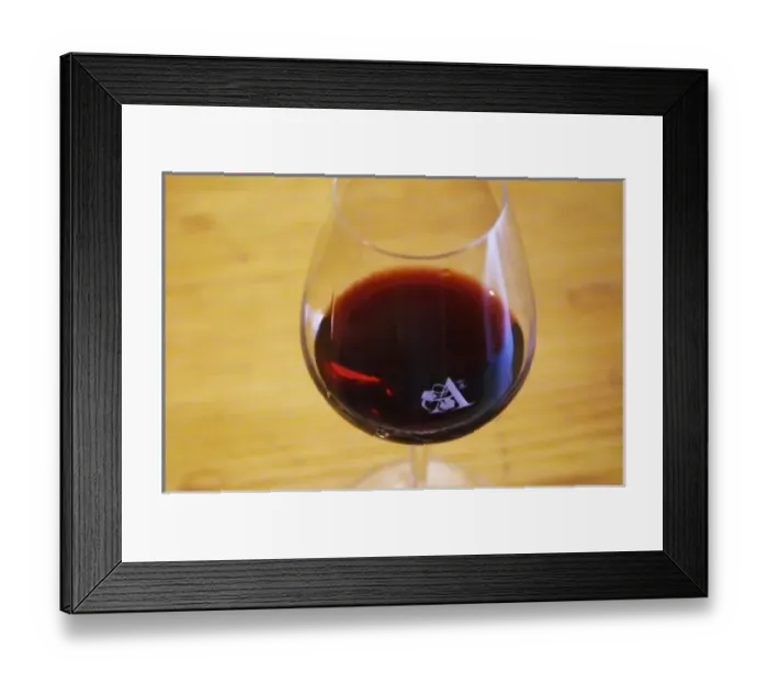 Framed Print : Europe, France