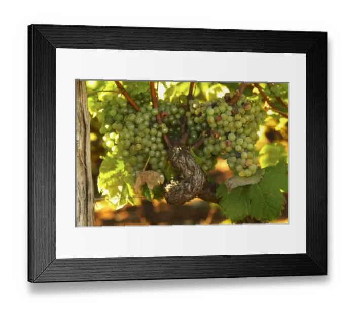 Framed Print : Europe, France Framed Print : Europe, France