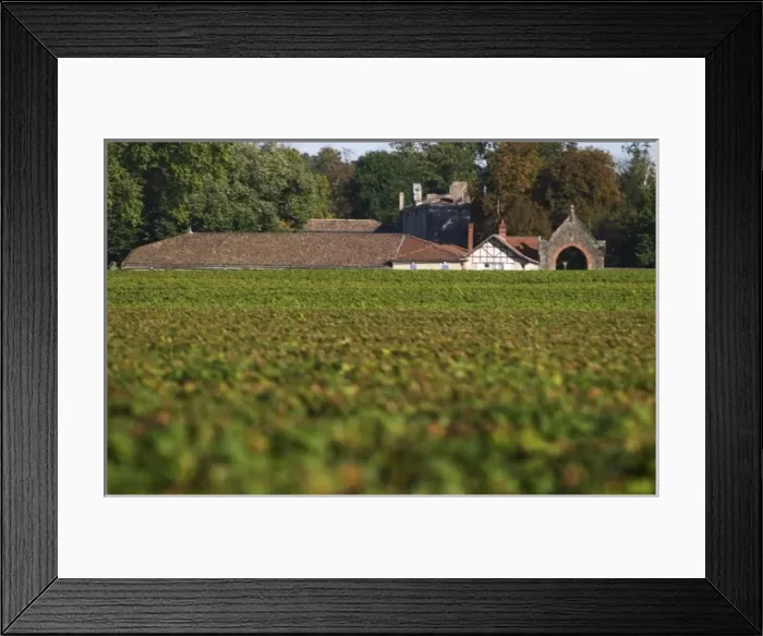 Framed Print : Chateau Bastor Lamontagne hidden by the vines and vineyard - Chateau Haut Bergeron