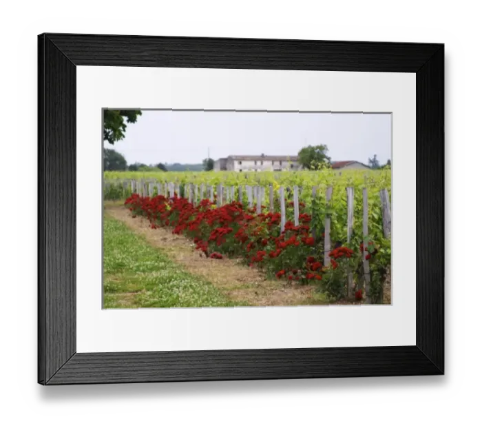 Framed Print : Europe, France