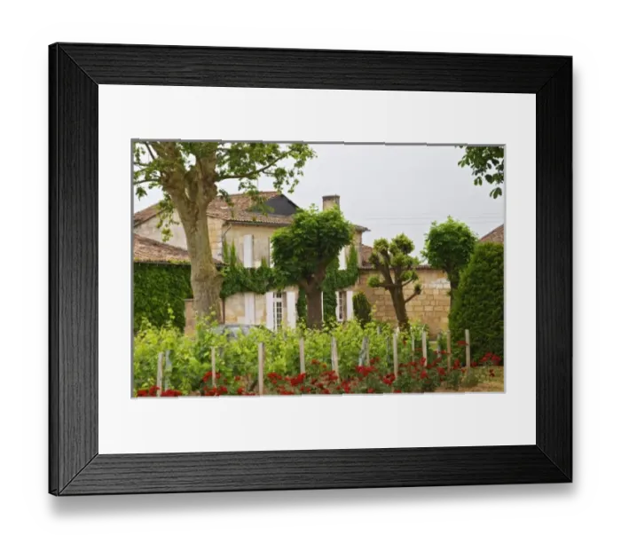 Framed Print : Europe, France