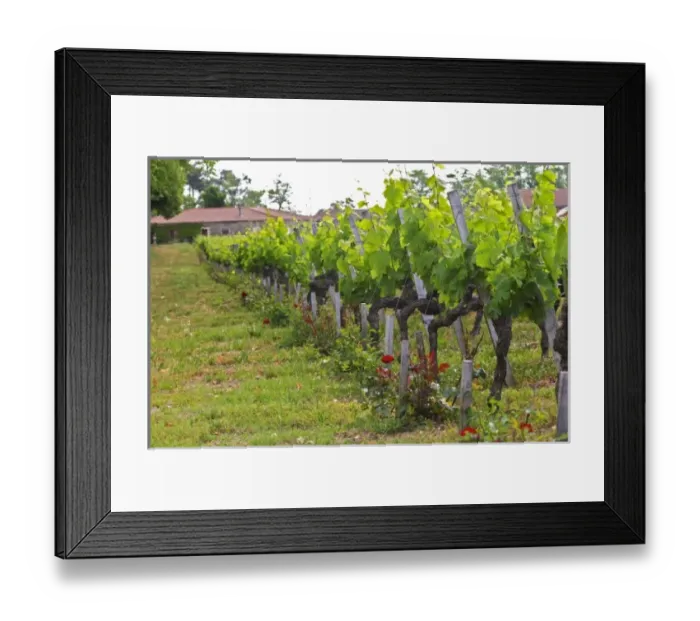 Framed Print : Europe, France Framed Print : Europe, France