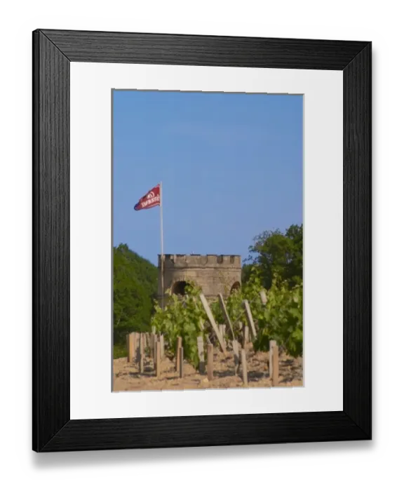 Framed Print : The vineyard, tower and flag of Chateau Cos d Estournel Saint Estephe Medoc Bordeaux