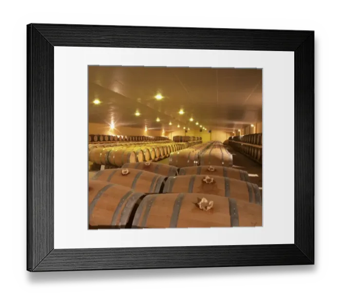 Framed Print : The new cellar for ageing wine in barrel, rows and rows of oak barriques Chateau Framed Print : The new cellar for ageing wine in barrel, rows and rows of oak barriques Chateau