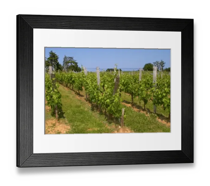 Framed Print : Europe, France Framed Print : Europe, France