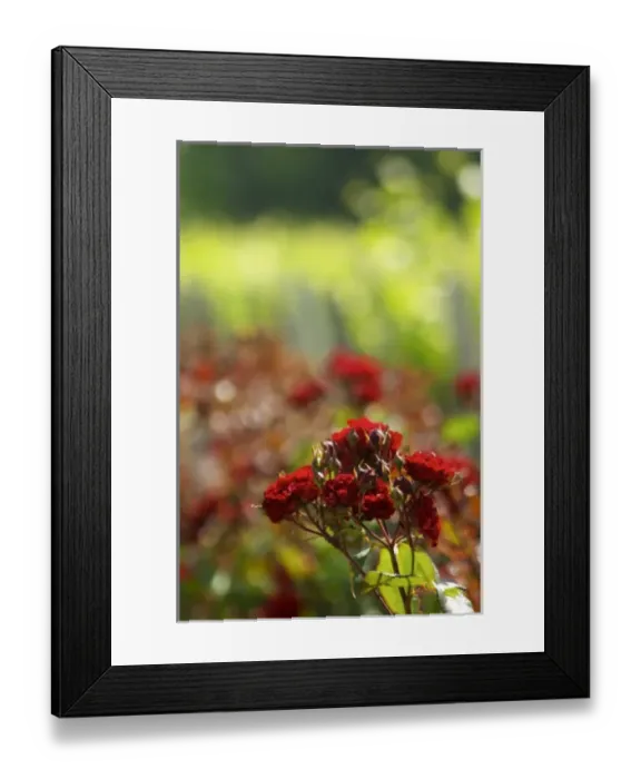 Framed Print : Europe, France Framed Print : Europe, France