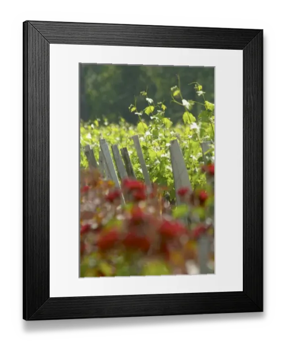 Framed Print : Europe, France Framed Print : Europe, France