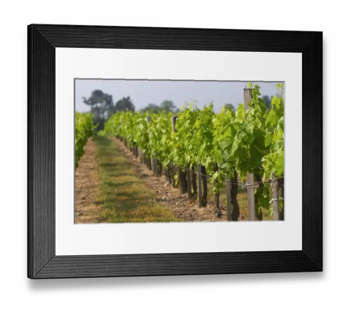 Framed Print : Europe, France Framed Print : Europe, France