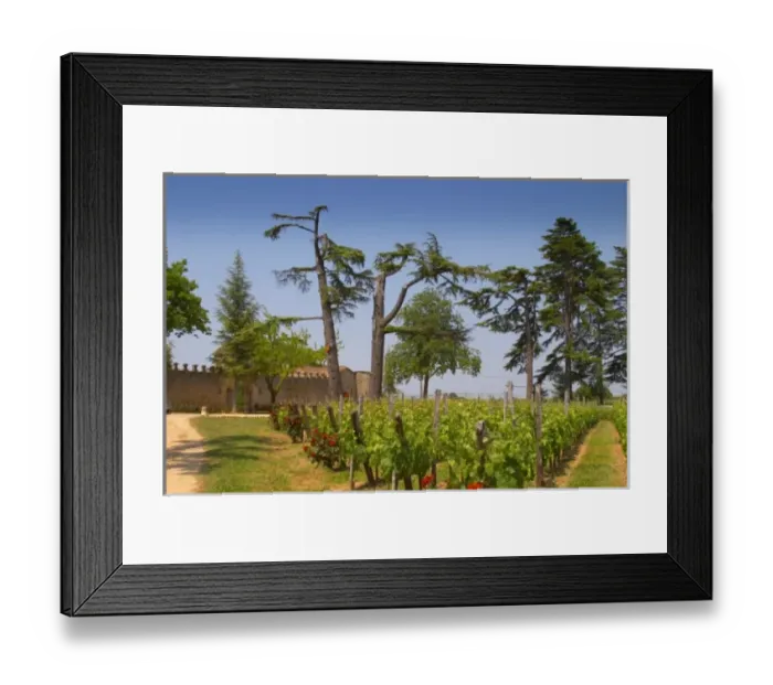 Framed Print : Europe, France Framed Print : Europe, France