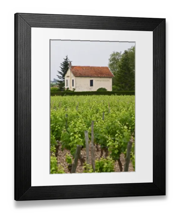 Framed Print : Europe, France