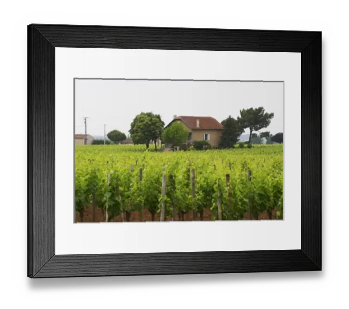 Framed Print : Europe, France