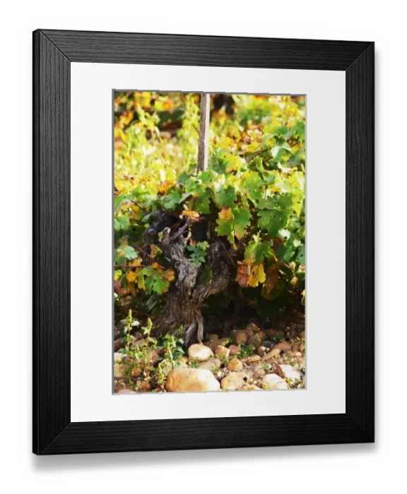 Framed Print : Europe, France