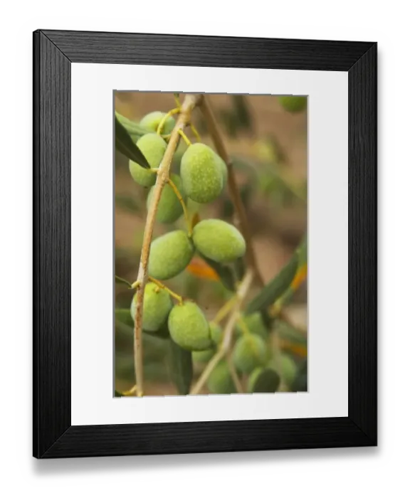 Framed Print : Europe, France Framed Print : Europe, France