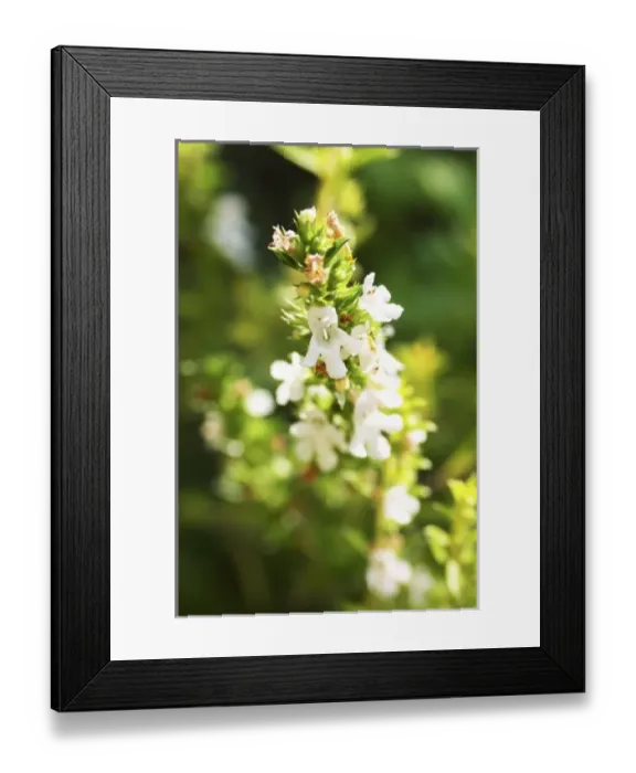 Framed Print : Europe, France