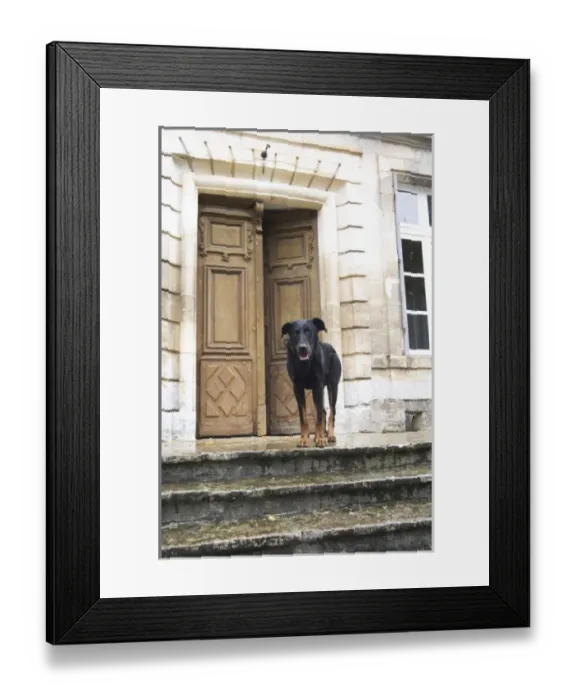 Framed Print : Europe, France