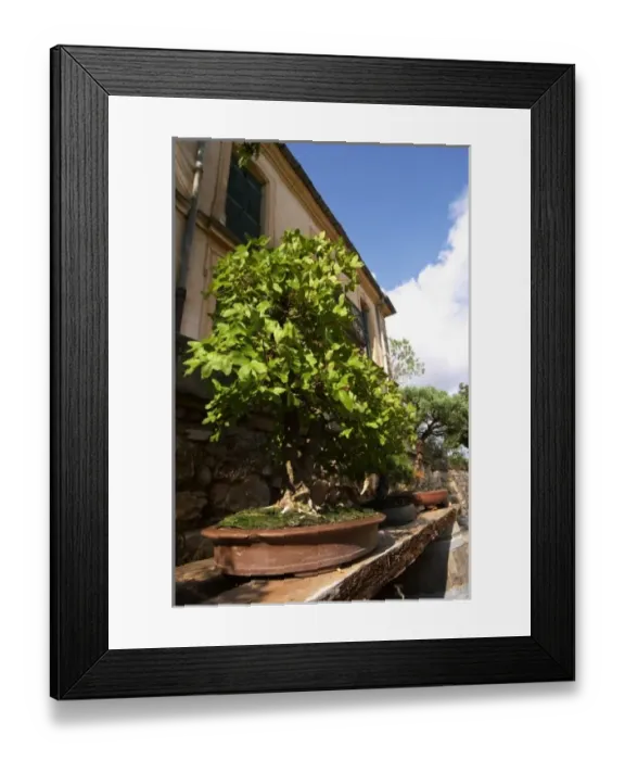 Framed Print : Europe, France Framed Print : Europe, France