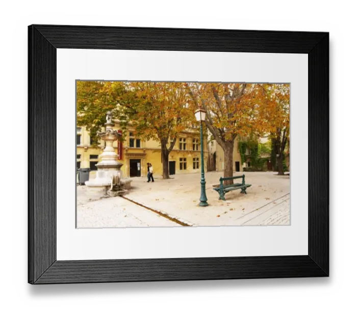 Framed Print : Town square in the old town, with trees with leaves in autumn colour. Place Pelissier Framed Print : Town square in the old town, with trees with leaves in autumn colour. Place Pelissier