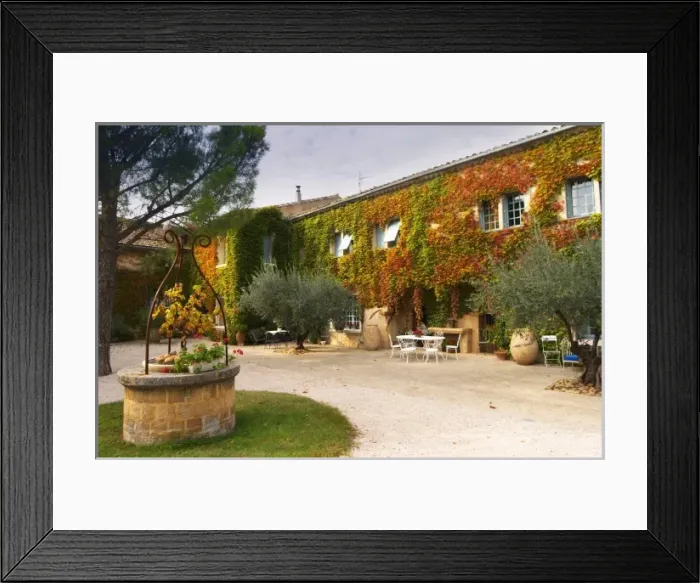 Framed Print : The main building covered with vine with olive trees and a water well Chateau de Beaucastel Framed Print : The main building covered with vine with olive trees and a water well Chateau de Beaucastel