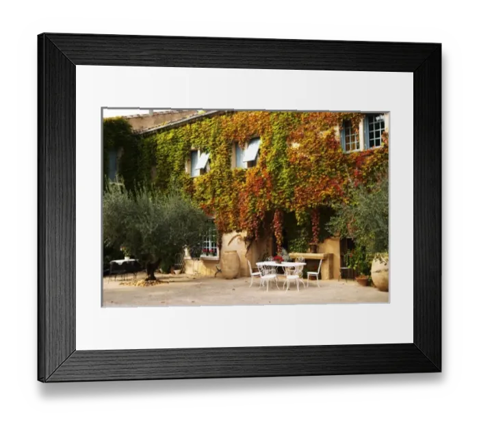 Framed Print : The main building covered with vine with olive trees, garden furniture. Chateau de Beaucastel Framed Print : The main building covered with vine with olive trees, garden furniture. Chateau de Beaucastel