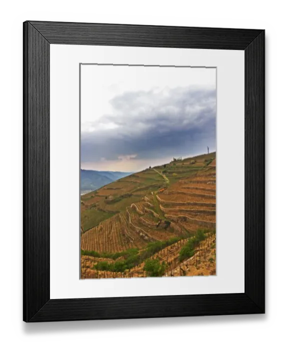 Framed Print : The chapel on top of the hill the Chapelle vineyard and lower down the Les Bessards vineyard Framed Print : The chapel on top of the hill the Chapelle vineyard and lower down the Les Bessards vineyard