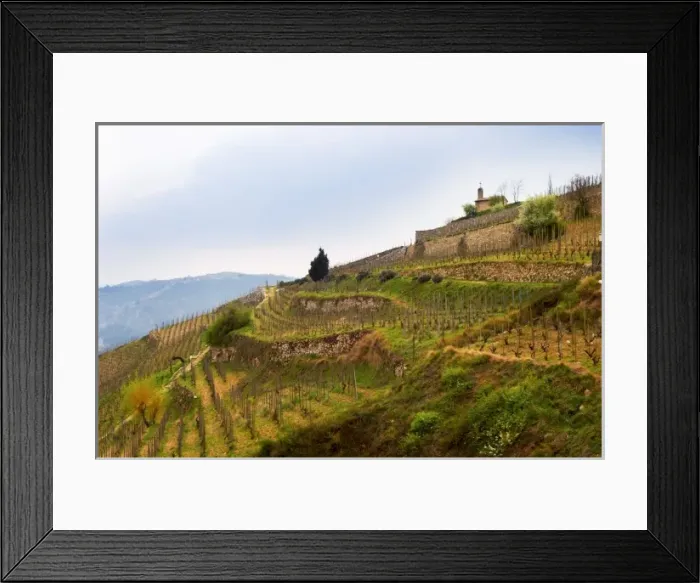 Framed Print : The chapel on top of the hill the Chapelle vineyard. The Hermitage vineyards on Framed Print : The chapel on top of the hill the Chapelle vineyard. The Hermitage vineyards on