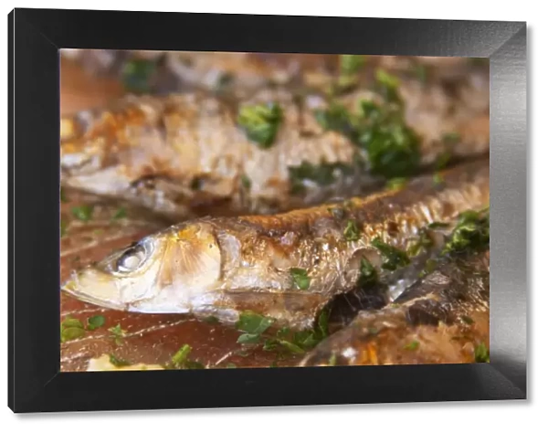 Grilled sardines in a restaurant in Collioure on the Mediterranean coast in Roussillon