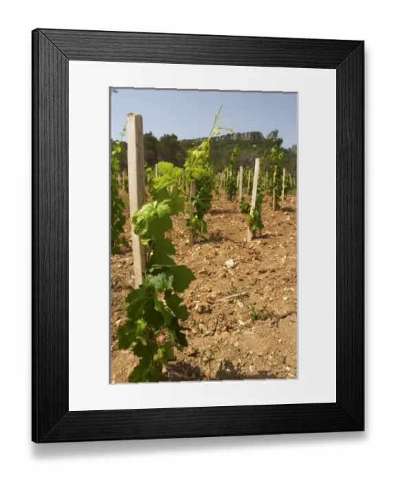 Framed Print : Europe, France Framed Print : Europe, France