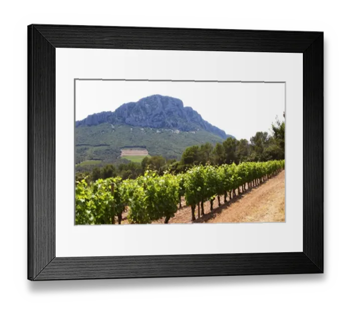 Framed Print : Domaine de l Hortus. The Pic St Loup mountain top peak. Pic St Loup. Languedoc Framed Print : Domaine de l Hortus. The Pic St Loup mountain top peak. Pic St Loup. Languedoc