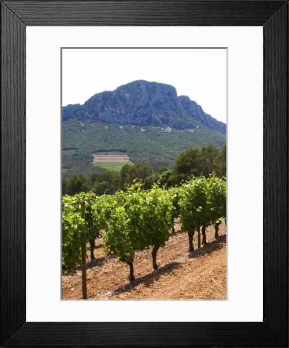 Framed Print : Domaine de l Hortus. The Pic St Loup mountain top peak. Pic St Loup. Languedoc Framed Print : Domaine de l Hortus. The Pic St Loup mountain top peak. Pic St Loup. Languedoc