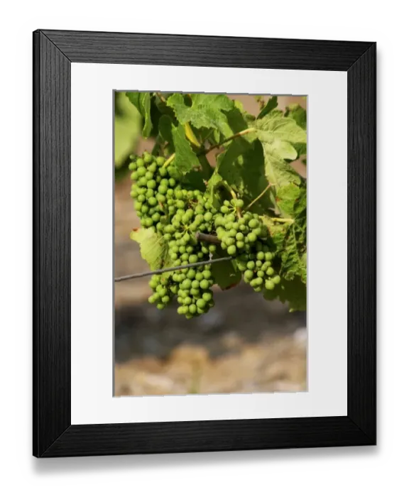 Framed Print : Europe, France Framed Print : Europe, France