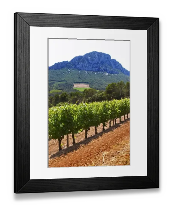 Framed Print : Europe, France