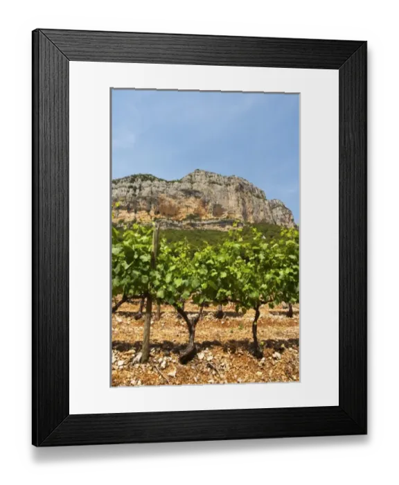 Framed Print : Europe, France