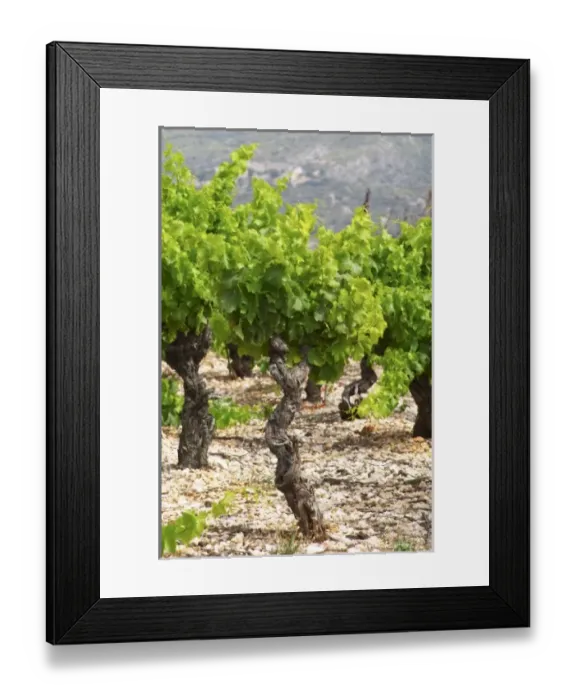 Framed Print : Europe, France Framed Print : Europe, France