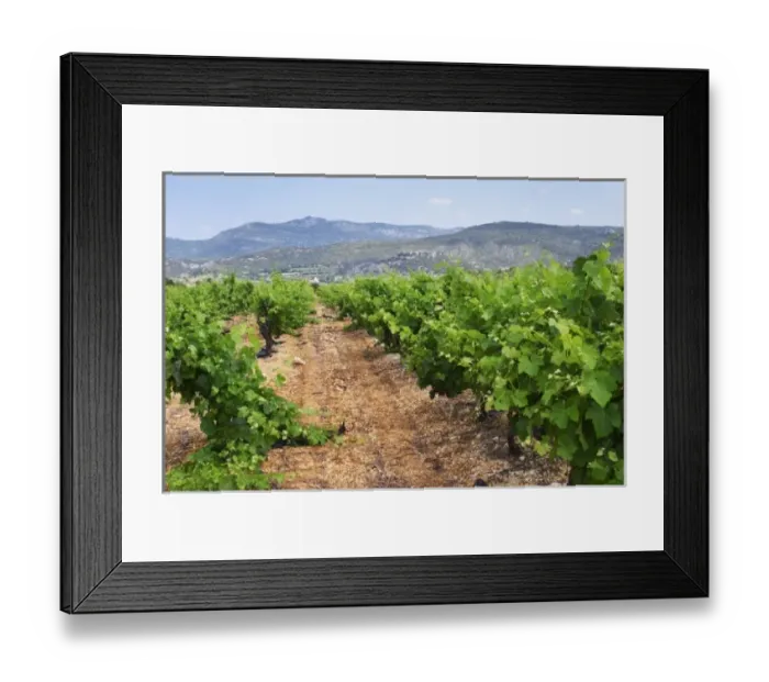 Framed Print : Europe, France Framed Print : Europe, France