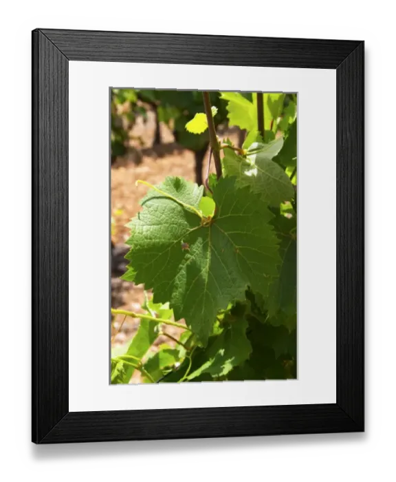 Framed Print : Europe, France Framed Print : Europe, France
