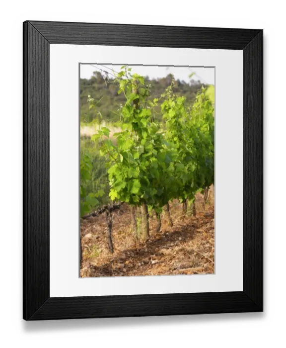 Framed Print : Europe, France Framed Print : Europe, France