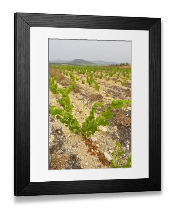Framed Print : Europe, France