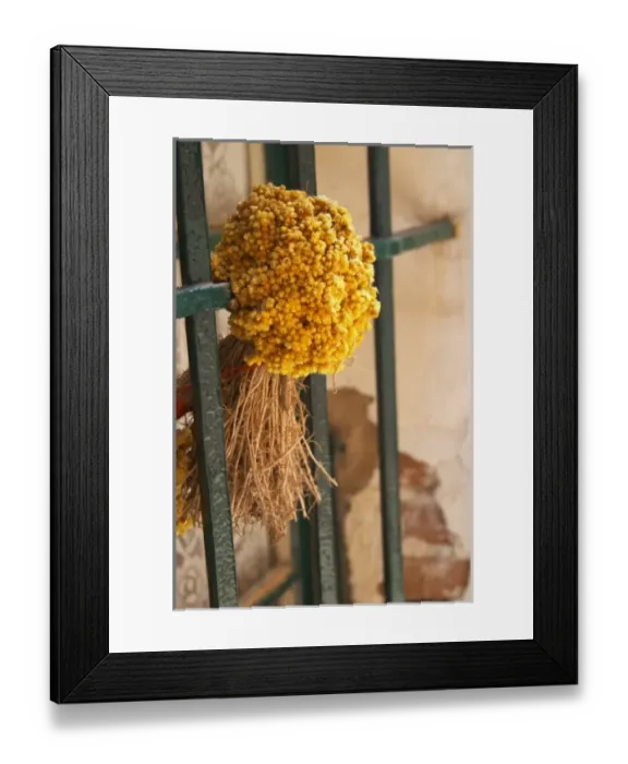 Framed Print : Europe, France Framed Print : Europe, France