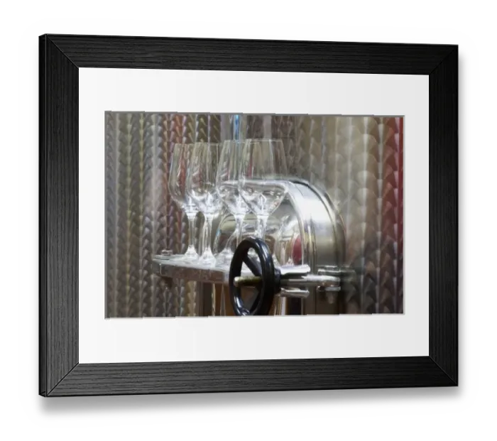Framed Print : Domaine Mas Cal Demoura, in Jonquieres village. Terrasses de Larzac. Languedoc. Stainless Framed Print : Domaine Mas Cal Demoura, in Jonquieres village. Terrasses de Larzac. Languedoc. Stainless