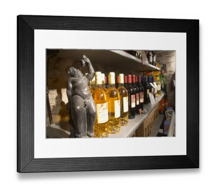 Framed Print : Bacchus. Domaine Pietri-Geraud Roussillon. The wine shop and tasting room. France