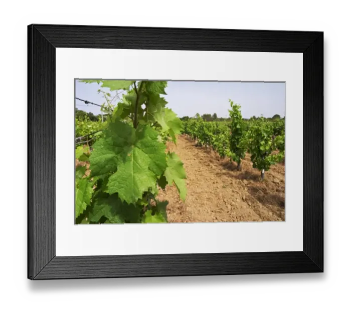 Framed Print : Europe, France