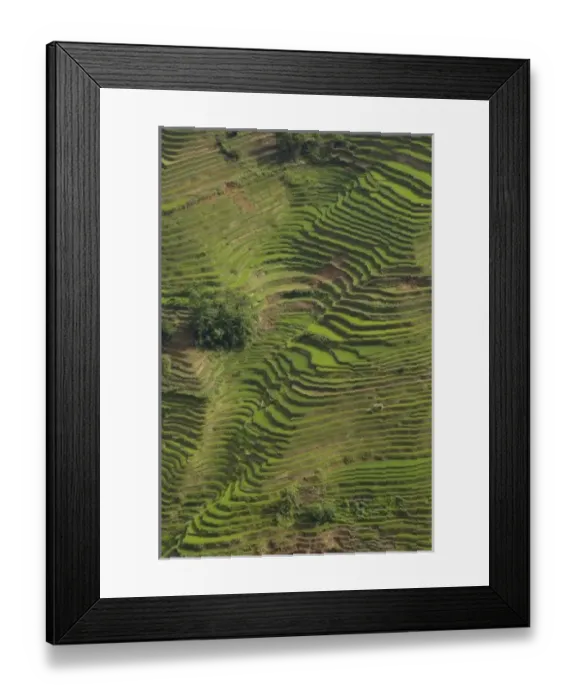 Framed Print : Asia, China